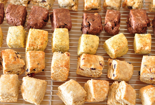 sconeブログ用.jpg